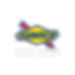 Sunoco.png